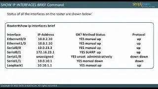 707 SHOW IP INTERFACES BRIEF Command