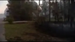 Bear cub saved from wildfire