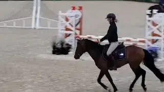 LOUSTIC NORMAND