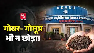 गोबर-गोमूत्र घोटाला: Cancer के इलाज के नाम पर Cow Dung, Urine पर Research में Scam| Madhya Pradesh