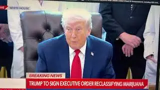 PRESIDENT TRUMP RECLASSIFIED MARIJUANA-MMJ INTERNATIONAL HOLDINGS READY FOR CLINICAL TRIALS