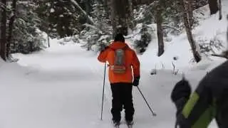 Cross-country Skiing in Michigan | Pure Michigan