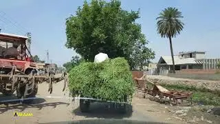 Rural Pakistan | Sooianwala To Amrao Tarar | القيادة في باكستان