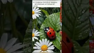 До свидания,Июнь! До новых встреч!#лето #foryou #naturebeauty