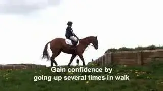 Petplan Masterclass with Lucinda - Drops and Steps
