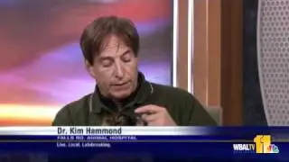 Dr. Kim Talks Raw Food Diets, Pugs
