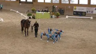 Harlekin Junioren 5 | Kategorie L | K&uuml;r | CVN Gossau 2019