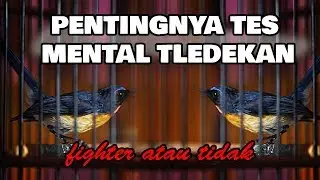 TES MENTAL TLEDEKAN