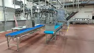 SOLD: FOODMATE poultry cut-up lines