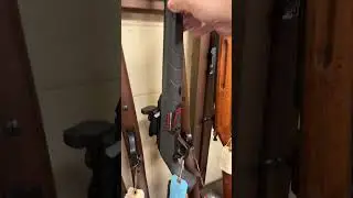 Winchester Wildcat 22