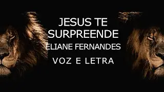 ELIANE FERNANDES   Jesus te surpreende   VOZ E LETRA