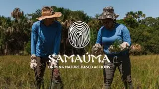 Community-led 100% organic reforestation in Brazil