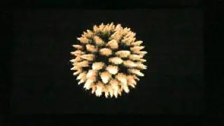 Evoke 2011 - Alt. Platform Compo - We got signal - (Live Footage)