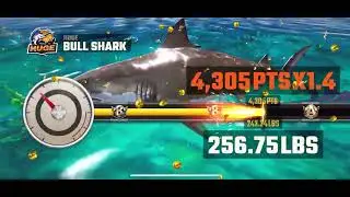 CATCHING MONSTER FISH ( Fishing Master )