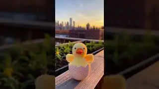 Charlie the Chick's Bird Adventure: Learn & Explore