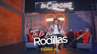 LOS TIMIDOS   TE LO PIDO DE RODILLAS OK