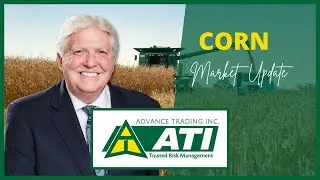 Corn Market Update | October 23, 2024