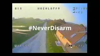 #NeverDisarm