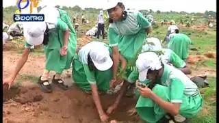 Haritha Haram | | All Arrangements Completed for 3rd Phase | A Report
