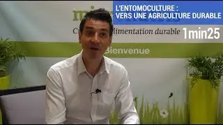 Micronutris #4 : &eacute;lever des insectes comestibles, une agriculture durable