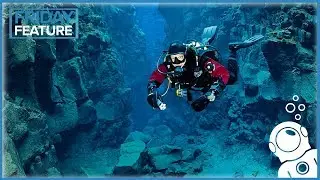 Why You Should Dive In A Drysuit