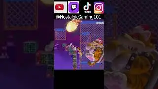 Super Mario Maker 2 Giant Bowser Cat Crawl Key Puzzle Meow Level