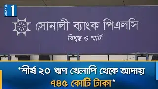 হলমার্ক গ্রুপের সম্পত্তি নিলামে তোলা হবে: সোনালী ব্যাংক এমডি | Channel One News