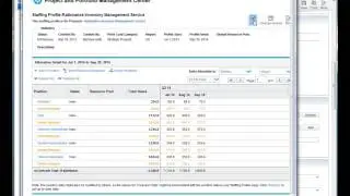 HPE PPM - 3 - Business Analyst Part 2