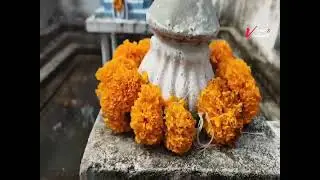 వేంపల్లి వెంకటేశ్వర స్వామి. వైకుంఠ ఏకాదశి సందర్భంగా. ఉత్తర ద్వార దర్శనం. 