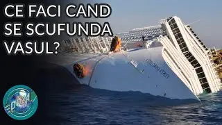 5 Sfaturi Pentru a Supravietui pe o Nava care se Scufunda