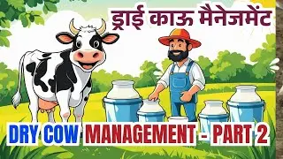 Dry cow part 2 hormonal profile & abortion risks #aliveterinarywisdom #dairyfarming