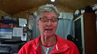 Whack Pack Wednesday 3 Card 35