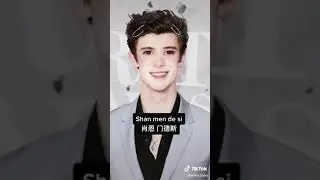 tiktoks to watch instead of attending zoom class