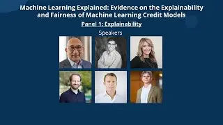Explainability of Machine Learning in Credit Underwriting Models