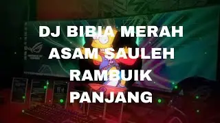 DJ MINANG TERBARU 2023 BIBIA MERAH ASAM SAULEH ll BIBIA MERAH ll DJ MINANG FYP