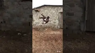 Amazing back somersault