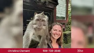 MEET CHRISTINA CLEMENT- BOLD Agent