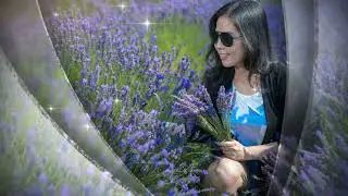 Tinh Ca Hong - Lam Thuy Van