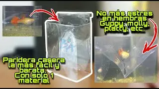 Como hacer una paridera casera 2.0 para acuario -Bioacuatixz