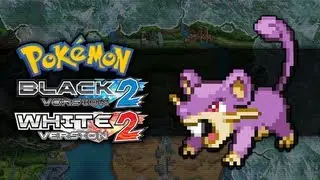 Pokemon Black 2 and White 2 | How To Get Rattata