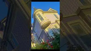 Alamo Square Park/Castro Districts:  PURPLE Victorian Homes, San Francisco. CA 🏡