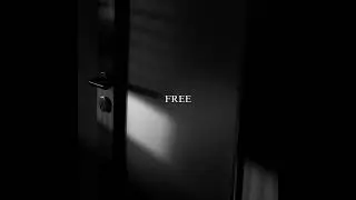 Nuno Gil - Free (Visualizador)