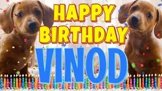 Happy Birthday Vinod! ( Funny Talking Dogs ) What Is Free On My Birthday