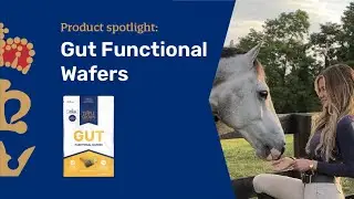 Gut Functional Wafers | Triple Crown Feed