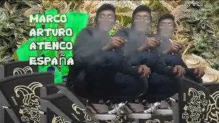 JUNKYE PSYTRANCE MIX   LIVE ACT SUMMER 2025