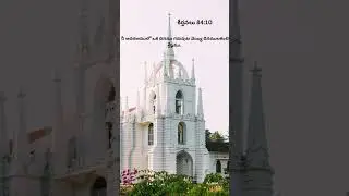 Happy Sunday #jesus #devotional #church #prayer #godblessyou #praisethelord