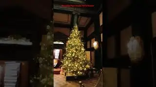 Very Wonderful Pipe Organ Performance 非常美丽动听的管风琴演奏(275#)