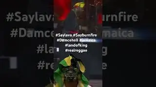 #reggae #dancehall #musicgenre #dancehallava #iwayne2026 #dancehallkings #caribbeanmusic #music