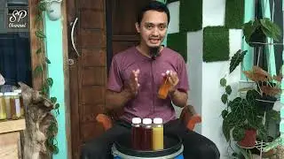 Madu apa sih yang Terbaik? kok harganya beda beda? #madumellifera #maduasli #madumurni