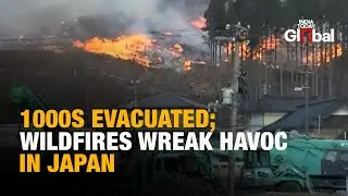 Japan Wildfires | 2,000+ Firefighters Deployed; 5,000+ People Evacuated| Deadly Forest Fire In Japan